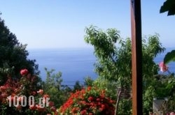Studio Froso in Samos Rest Areas, Samos, Aegean Islands