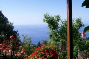 Studio Froso_accommodation_in_Hotel_Aegean Islands_Samos_Samos Rest Areas