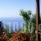 Studio Froso_accommodation_in_Hotel_Aegean Islands_Samos_Samos Rest Areas