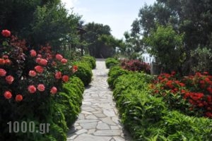 Studio Froso_holidays_in_Hotel_Aegean Islands_Samos_Samos Rest Areas