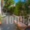 Jolandas House_best deals_Hotel_Macedonia_Halkidiki_Sykia