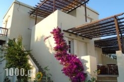 Christina Apartments in Chania City, Chania, Crete