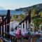 Hovolo Hotel Apartments_lowest prices_in_Apartment_Sporades Islands_Skopelos_Neo Klima - Elios