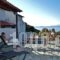 Hovolo Hotel Apartments_best deals_Apartment_Sporades Islands_Skopelos_Neo Klima - Elios