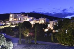 Naoussa Hills Boutique Resort - Adults Only (15+)_lowest prices_in_Hotel_Cyclades Islands_Paros_Paros Chora