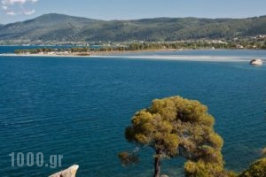 Vrahos House Apartments_lowest prices_in_Apartment_Macedonia_Halkidiki_Nikiti