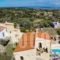Villa Zefi_holidays_in_Villa_Crete_Rethymnon_Rethymnon City