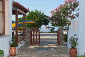 Pelagos Hotel Apartments_travel_packages_in_Aegean Islands_Samos_MarathoKambos