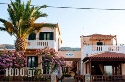 Pelagos Hotel Apartments in Marathokambos, Samos, Aegean Islands