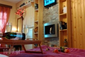 Guesthouse Chrysa_accommodation_in_Hotel_Central Greece_Viotia_Arachova