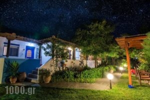 Sikia Blue Rooms_lowest prices_in_Room_Macedonia_Halkidiki_Haniotis - Chaniotis