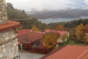 Aenao_best deals_Hotel_Thessaly_Karditsa_Neochori