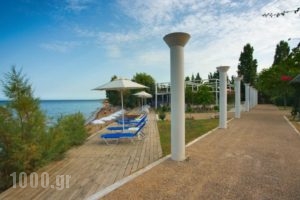 Logga Beach_lowest prices_in_Hotel_Thessaly_Magnesia_Pilio Area