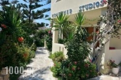 Montemar Studios & Apartments in Karpathos Chora, Karpathos, Dodekanessos Islands