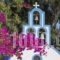 Bella Santorini_best prices_in_Hotel_Cyclades Islands_Sandorini_Sandorini Chora