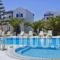 Louis Studios Santorini_holidays_in_Hotel_Cyclades Islands_Sandorini_kamari