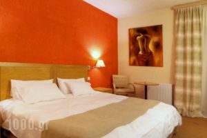 Club Hotel Parnassia_accommodation_in_Hotel_Central Greece_Viotia_Arachova