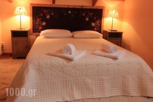 Patriko_accommodation_in_Hotel_Central Greece_Fokida_Delfi