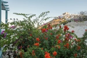Aphrodite Studios_best prices_in_Hotel_Dodekanessos Islands_Astipalea_Livadia