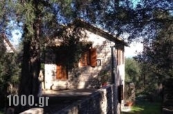 The “M” House in Agios Ninitas, Lefkada, Ionian Islands