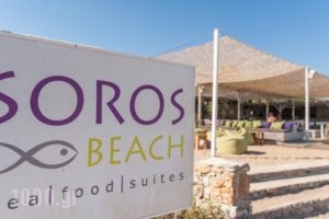 Soros Beach_holidays_in_Hotel_Cyclades Islands_Antiparos_Antiparos Chora