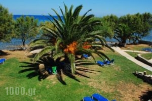 Diomare Villas_accommodation_in_Villa_Ionian Islands_Zakinthos_Zakinthos Rest Areas