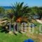 Diomare Villas_accommodation_in_Villa_Ionian Islands_Zakinthos_Zakinthos Rest Areas