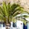 Anezina Villas_best deals_Villa_Cyclades Islands_Sandorini_Sandorini Chora