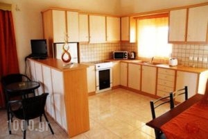 Tsiolis Studios & Apartments_lowest prices_in_Apartment_Ionian Islands_Zakinthos_Zakinthos Rest Areas