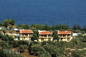 Four Seasons Villas_holidays_in_Villa_Sporades Islands_Skiathos_Skiathosst Areas