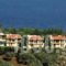 Four Seasons Villas_holidays_in_Villa_Sporades Islands_Skiathos_Skiathosst Areas