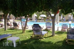 Pythos Studios_lowest prices_in_Hotel_Ionian Islands_Kefalonia_Vlachata