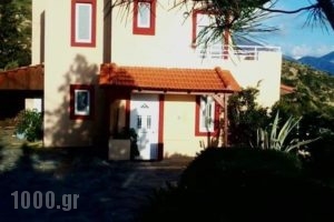 Villa Elgini_accommodation_in_Villa_Crete_Rethymnon_Plakias