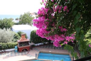 Mary Hotel_best deals_Hotel_Aegean Islands_Samos_Marathokambos