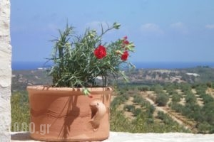 Dalabelos Estate_lowest prices_in_Hotel_Crete_Rethymnon_Mylopotamos