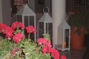 Sonias House_lowest prices_in_Hotel_Macedonia_Halkidiki_Kassandreia