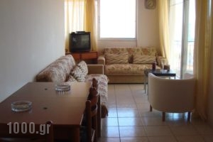 Studio Spartochori_best prices_in_Hotel_Ionian Islands_Ithaki_Ithaki Chora