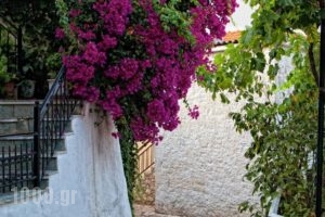 Studio Spartochori_travel_packages_in_Ionian Islands_Ithaki_Ithaki Chora