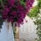 Studio Spartochori_travel_packages_in_Ionian Islands_Ithaki_Ithaki Chora