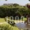 Eleni Apartments_best deals_Apartment_Dodekanessos Islands_Rhodes_Lindos