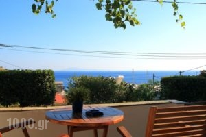 Studios Marfo_holidays_in_Hotel_Cyclades Islands_Andros_Andros City