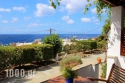 Studios Marfo in Andros Chora, Andros, Cyclades Islands