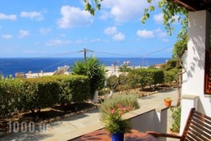 Studios Marfo_accommodation_in_Hotel_Cyclades Islands_Andros_Andros City