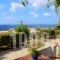 Studios Marfo_accommodation_in_Hotel_Cyclades Islands_Andros_Andros City