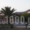 Hippocampus Club Naxos_best prices_in_Hotel_Cyclades Islands_Naxos_Naxos Chora