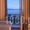 Poseidonion Grand Hotel_best prices_in_Hotel_Piraeus Islands - Trizonia_Spetses_Spetses Chora