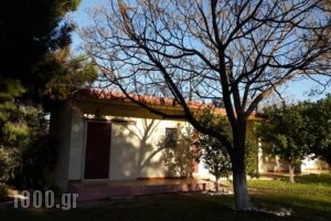 Danaides Bungalows_holidays_in_Hotel_Peloponesse_Argolida_Tolo