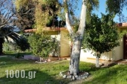 Danaides Bungalows in  Tolo, Argolida, Peloponesse