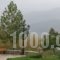 Nefeli Guesthouses_best deals_Hotel_Peloponesse_Achaia_Kalavryta