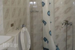 Hotel Koutriaris_accommodation_in_Hotel_Central Greece_Viotia_Arachova